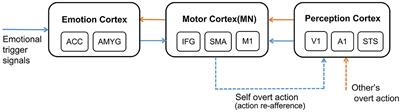 Brain-Inspired Affective Empathy Computational Model and Its Application on Altruistic Rescue Task